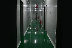 Gallery 3